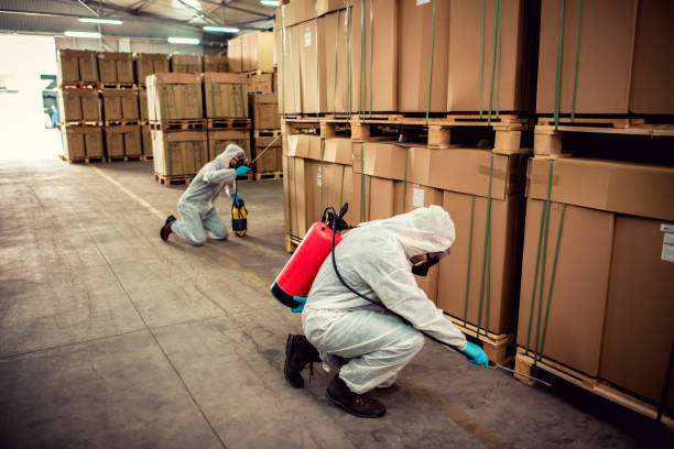 Best Cockroach Control Services  in Georgetown, OH