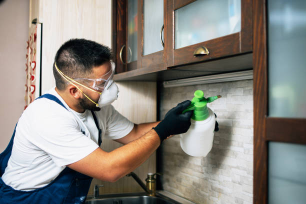 Best Rat Extermination Near Me  in Georgetown, OH