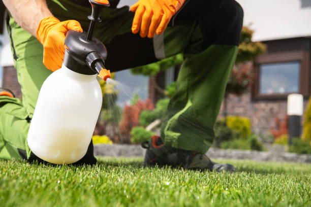 Best Affordable Pest Control Services  in Georgetown, OH