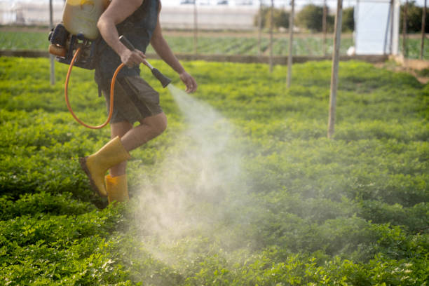 Best Ant Control Services  in Georgetown, OH