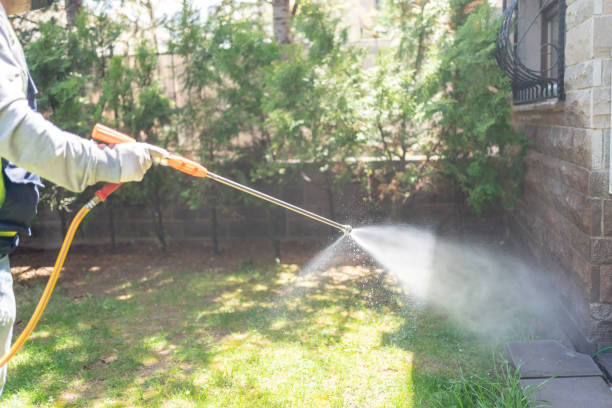 Best Wasp Removal Services  in Georgetown, OH