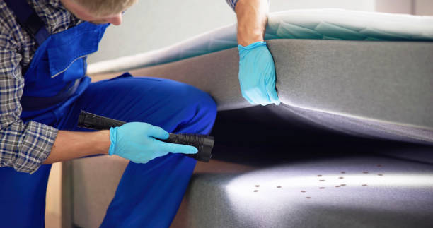 Best Best Pest Control Companies  in Georgetown, OH